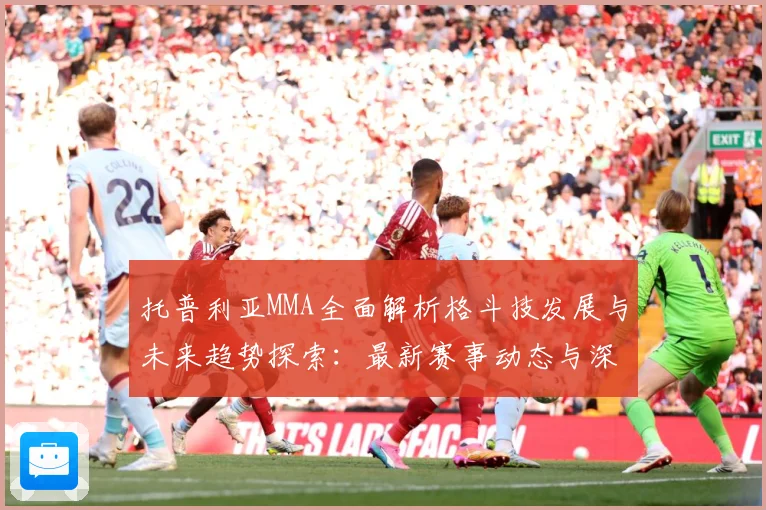 托普利亚MMA全面解析格斗技发展与未来趋势探索：最新赛事动态与深度分析